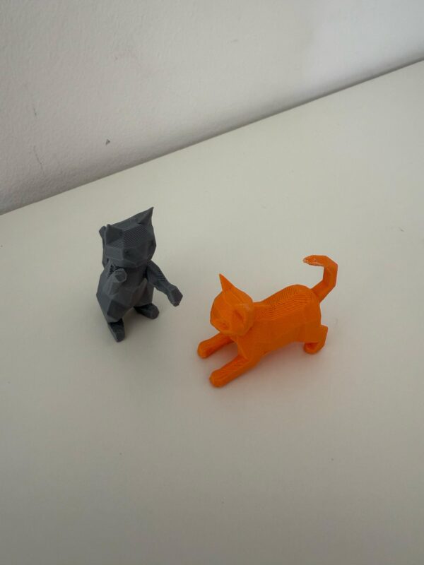 Set van 2 spelende katten