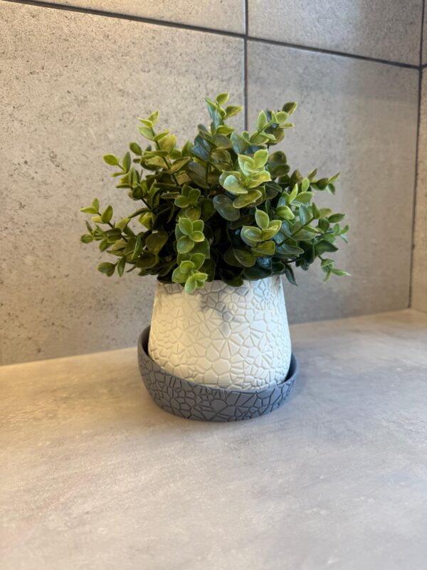 Bloempot met krakele-effect – wit met grijs opvangschaaltje - Afbeelding 5