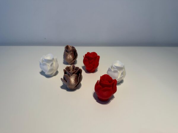 Set van 6 roosjes met glanzende afwerking